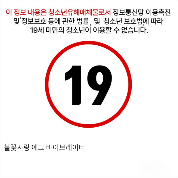 불꽃사랑 에그 바이브레이터