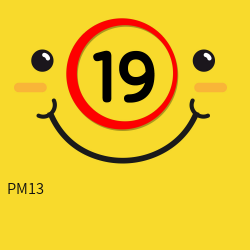 PM13